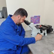 IMG_20250611_162201